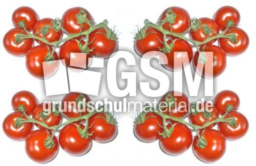 Tomaten-4x7.jpg